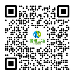 午夜激情网站生物-午夜影院在线观看/午夜小视频APP/成人免费午夜视频厂家-项目投资运营商